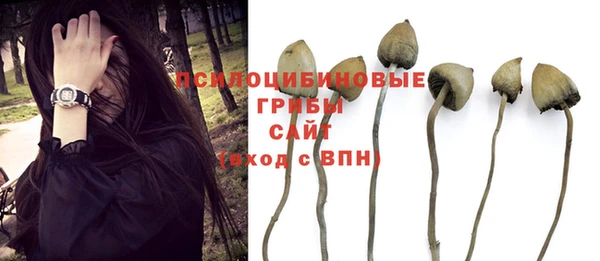 хмурый Бронницы