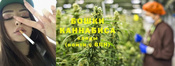 хмурый Бронницы